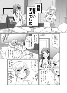 Neko to Neko no Owaranai Yoru