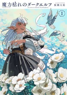 The Journey of a Dark Elf with Fading Powers